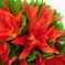 искусственные цветы букет кувшинок цвета оранжевый 2