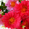 искусственные цветы герберы с добавкой пластика цвета розовый 5