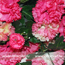 искусственные цветы гвоздики цвета темно-розовый с розовым 45