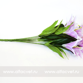 искусственные цветы лилии цвета фиолетовый с белым 15