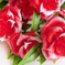 искусственные цветы букет роз пластик цвета красный 4