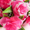 искусственные цветы букет роз пластик цвета розовый 5