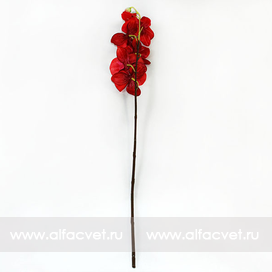 искусственные цветы ветка орхидеи с блестками цвета красный 4